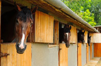 free Stoney Stanton stable construction quotes